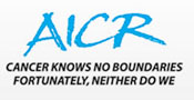 International Cancer Research Logo